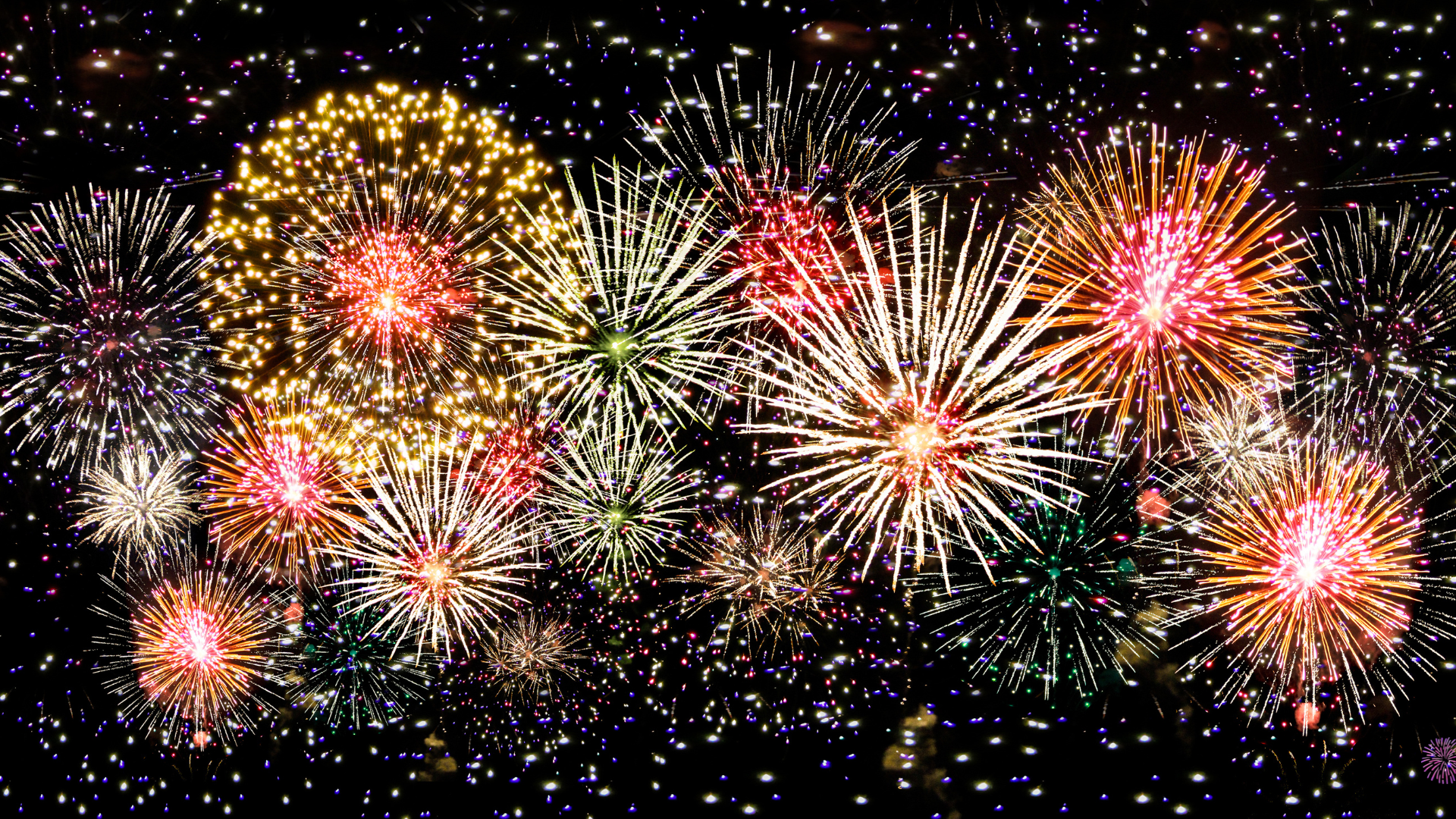 Family Fireworks Header